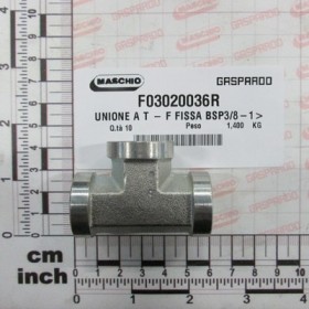 TEE - FIXED FEMALE BSP 3/8-19