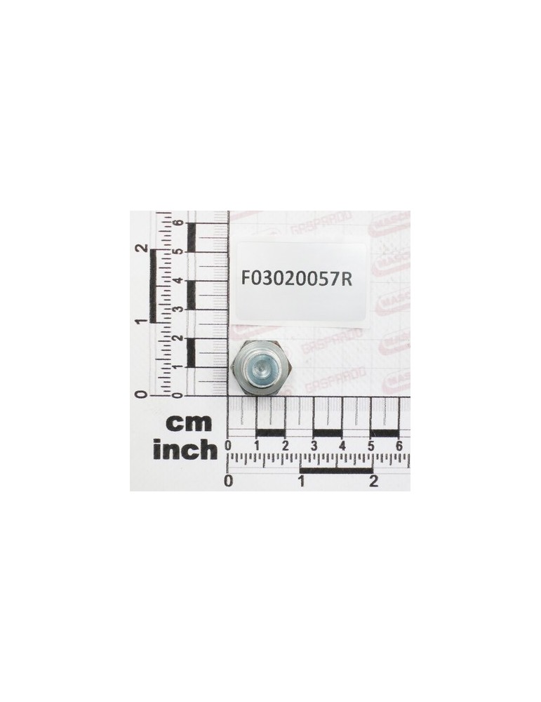 MALE CAP BSP 1/4-19
