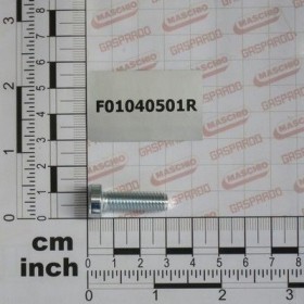 Maschio Gaspardo Surub M8x1.25x25 F01040501R