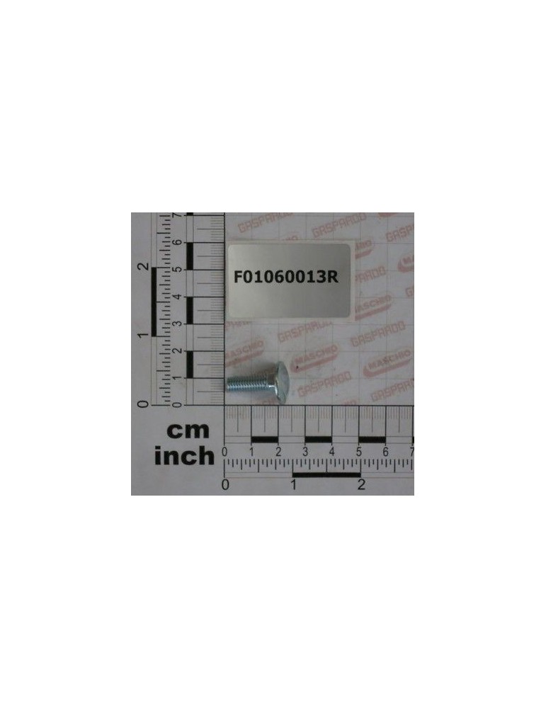Maschio Gaspardo SURUB M 6X 1X 20 U5732 4.6 ZN F01060013R