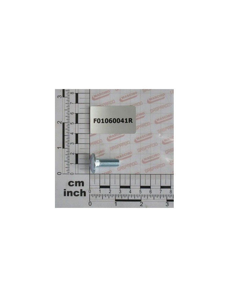 Maschio Gaspardo SURUB M8X1,25X 25 U5732 4.6 ZN F01060041R