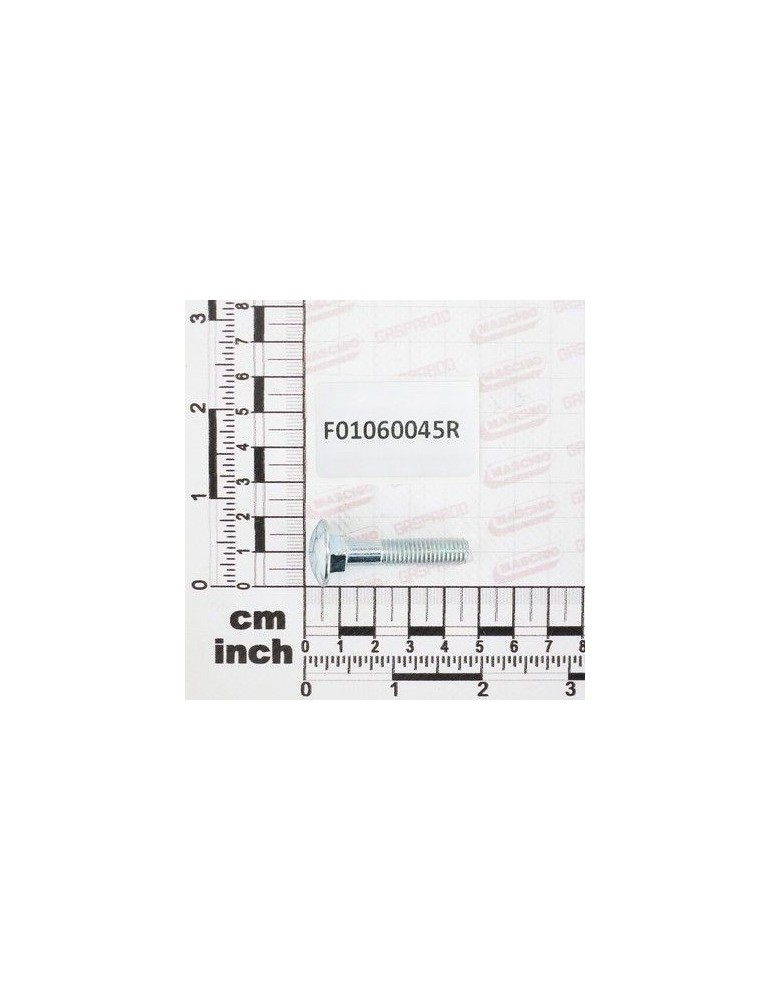 Maschio Gaspardo SURUB M8X1,25X 40 U5732 4.6 ZB F01060045R
