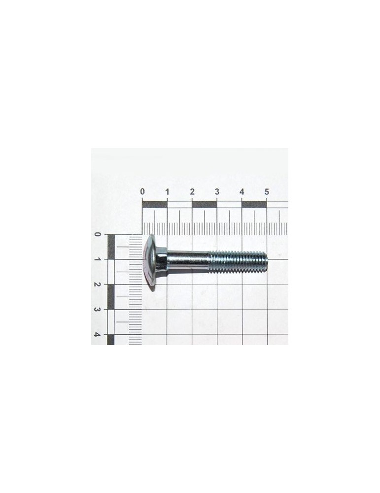 Maschio Gaspardo SURUB M8X1,25X 45 U5732 4.6 ZN F01060047R