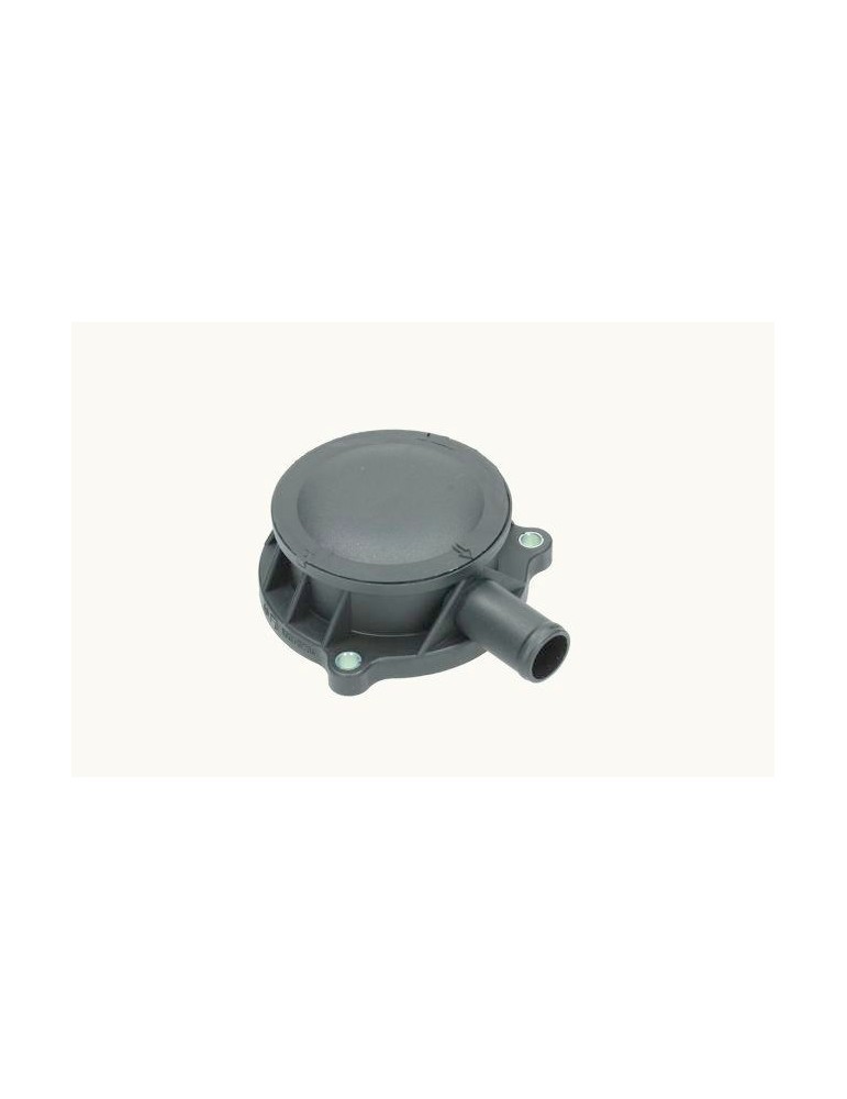 Filtru Dezaerisire 500315794