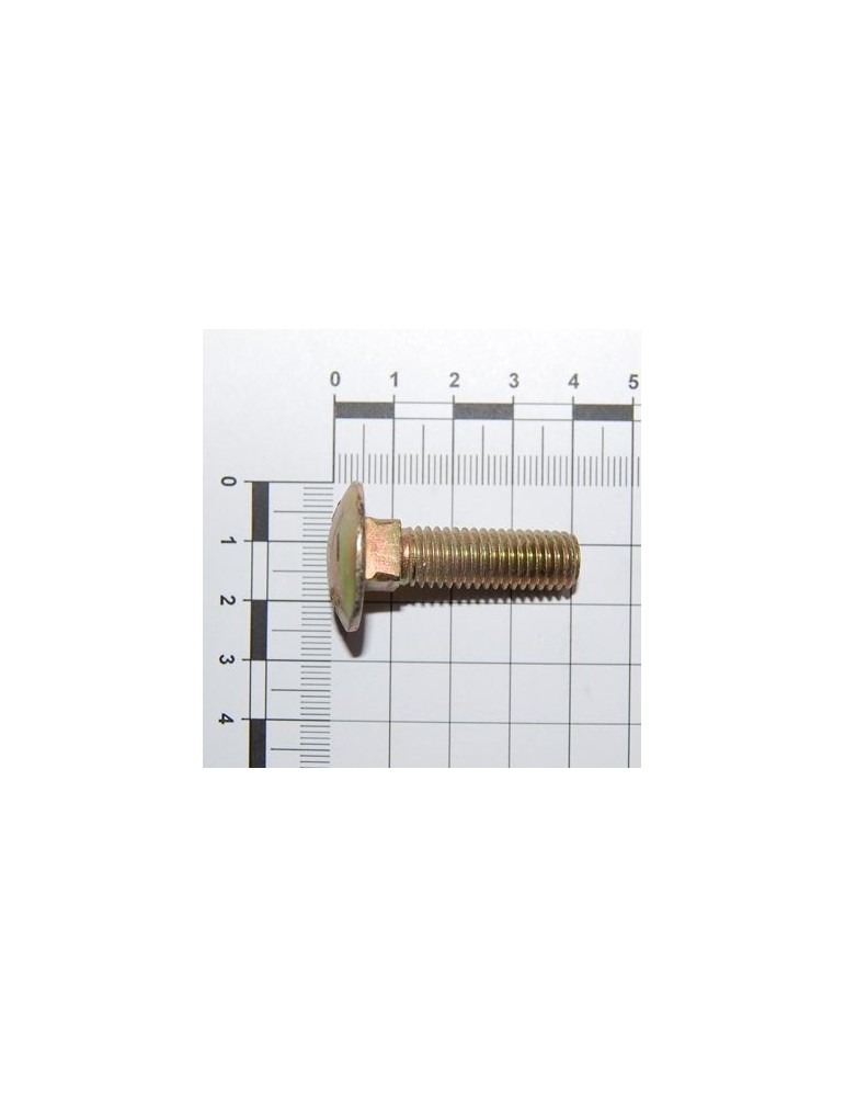 Maschio Gaspardo SURUB M10X1,5X35 U5731 8.8 ZN F01060071R