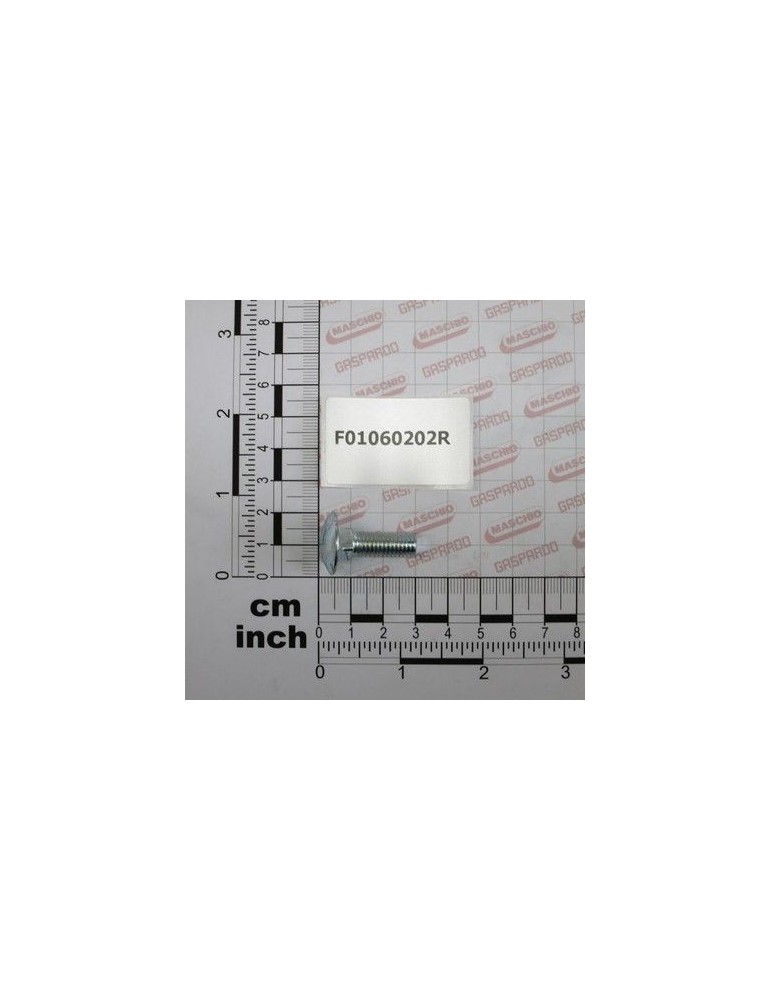 Maschio Gaspardo SURUB M 8X1,25X25 U5731 4.6 ZN F01060202R