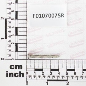 Maschio Gaspardo SURUB 4,2X38 DEN 7981 F01070075R