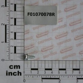 Maschio Gaspardo SUR.A.4,2X1,41X9,5 6950 4.8 ZN F01070078R