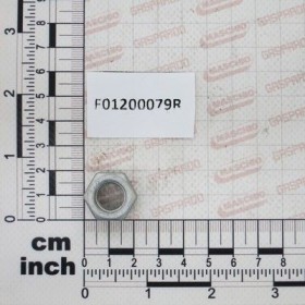 Maschio Gaspardo PIUL.M12X1,75 U5587 6S GE F01200079R