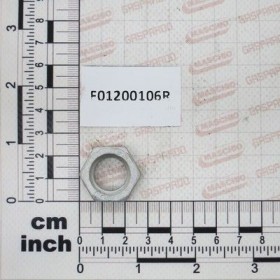 Maschio Gaspardo PIUL.M16X2 U5589 6.8GE F01200106R