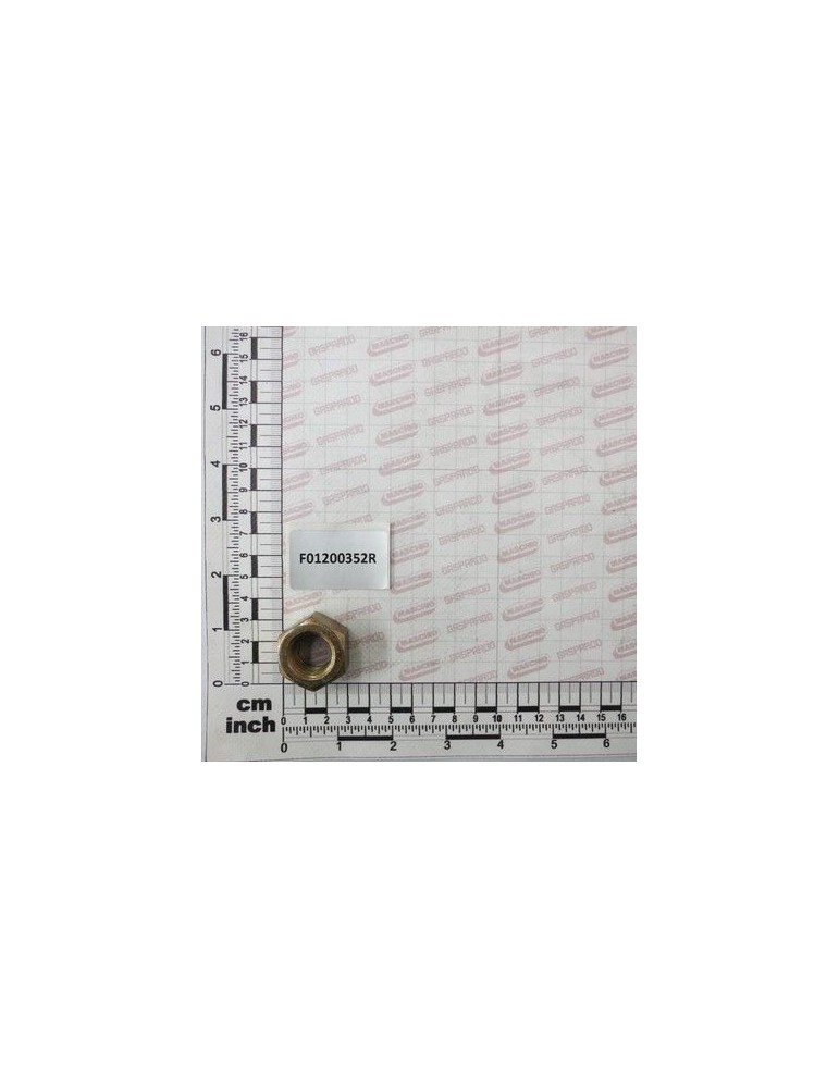 Maschio Gaspardo PIULITA M20X 2,5 U5588 6.8 ZN F01200352R