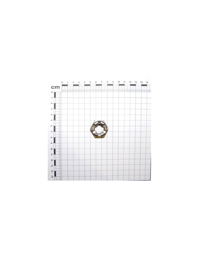 Maschio Gaspardo PIULITA M18X 2.5 U5594 5.8 BR F01210091R