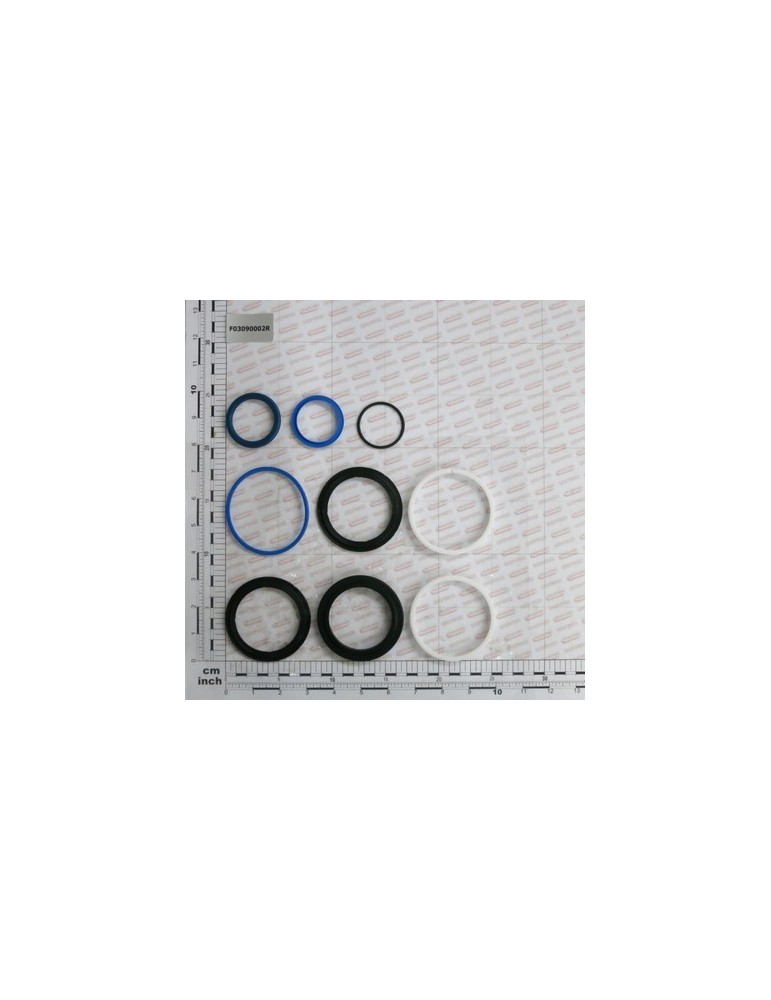 KIT O-RING  CYLINDER F03090001