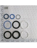 KIT O-RING  CYLINDER F03090001