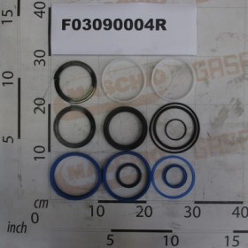 GASKET KIT CYLINDER F03090003