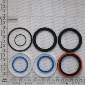 GASKET KIT CYLINDER F03090007