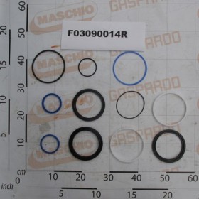 GASKET KIT CYLINDER F03090013