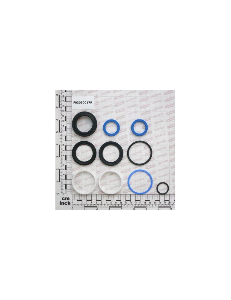KIT O-RING  CYLINDER F03090016