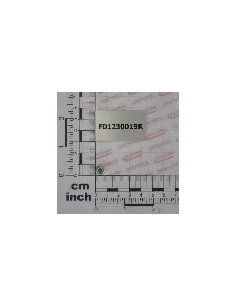 Maschio Gaspardo PIULITA AUTOB.NOR.5 ZN F01230019R