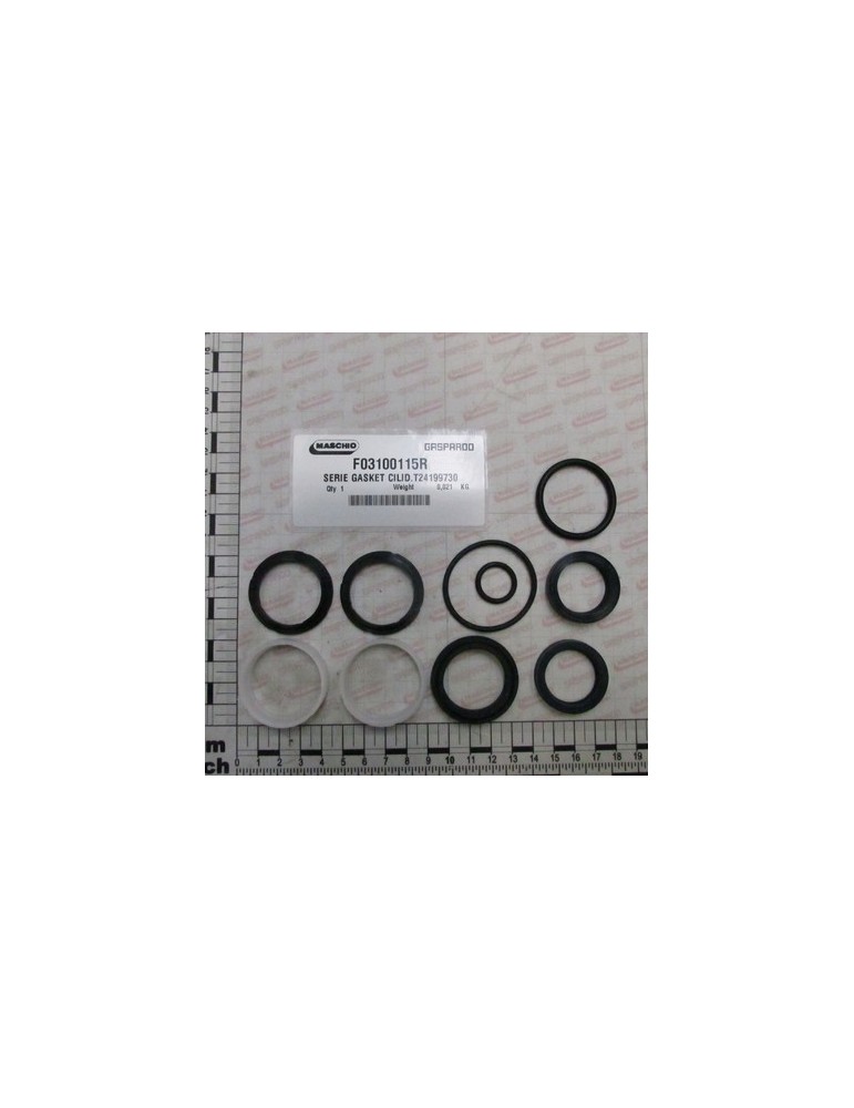 SERIE GASKET CILID.T24199730
