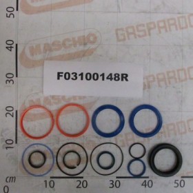 GASKET SET (58100801)
