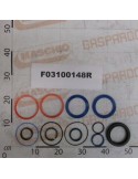 GASKET SET (58100801)