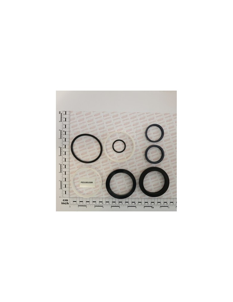 GASKET SET (58100841)