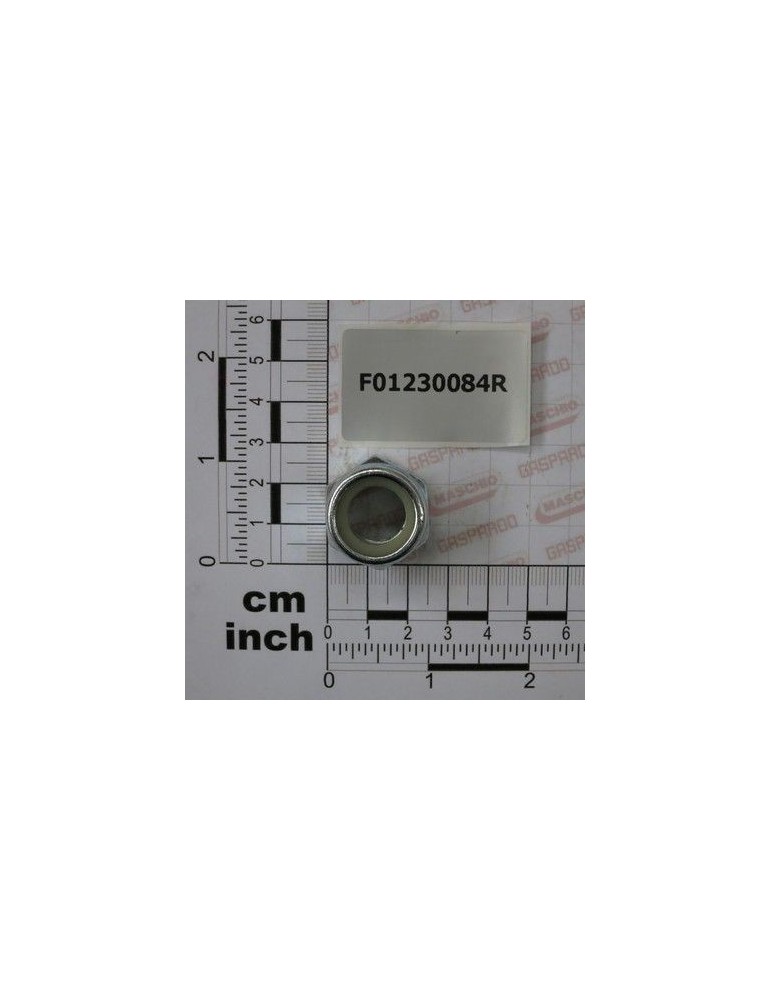 Maschio Gaspardo PIUL.AUTOB.M16X1,5 D982 6 ZB F01230084R