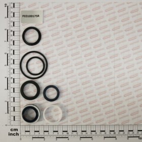 GASKET SET US-UZ 31100601/2