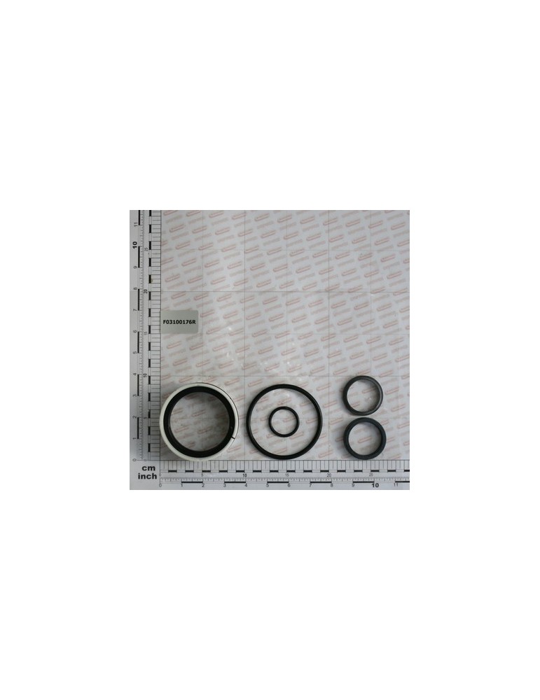 KIT O-RING  CYLINDER 15313210