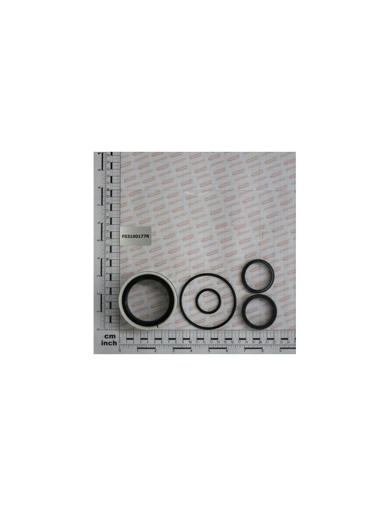 KIT O-RING  CYLINDER 15312730