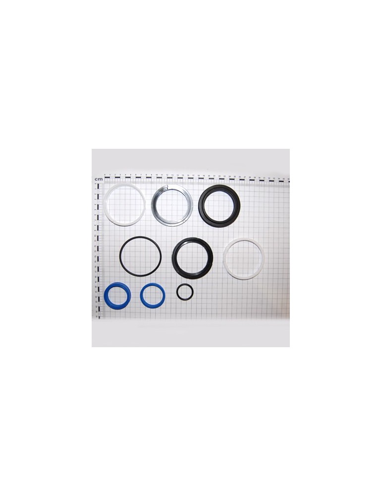 KIT O-RING  CYLINDER 15312720