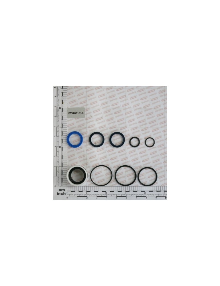 KIT O-RING  CYLINDER 15112630