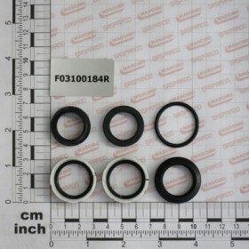 KIT O-RING  CYLINDER 15411160