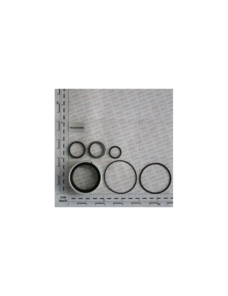 KIT O-RING  CYLINDER 15313210