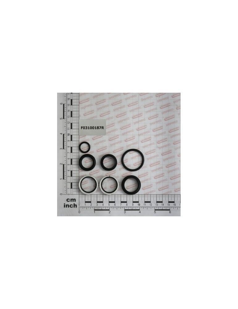 KIT O-RING  CYLINDER 15412580