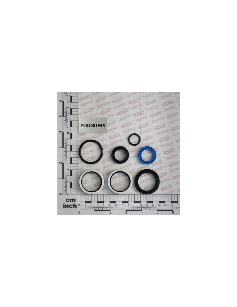 KIT O-RING  CYLINDER 16110980