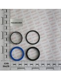 CYLINDER SEAL KIT 16111851