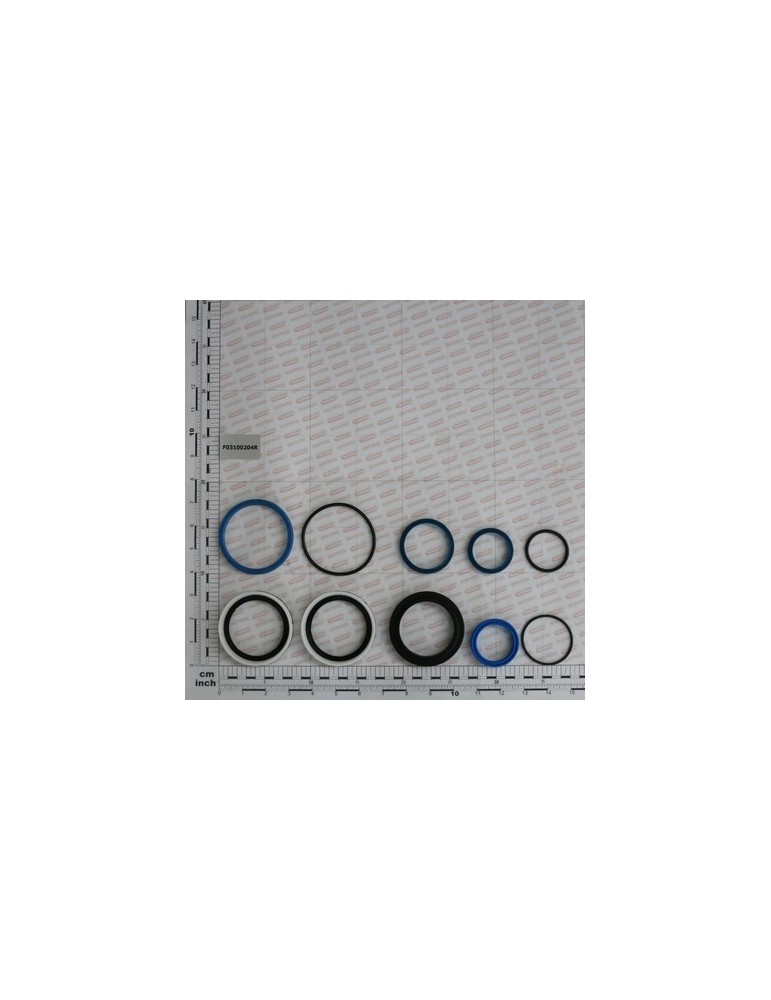 CYL.GASKET KIT 14217510