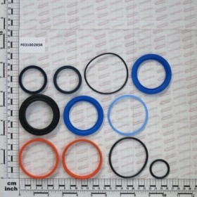 CYL.GASKET KIT R17014200