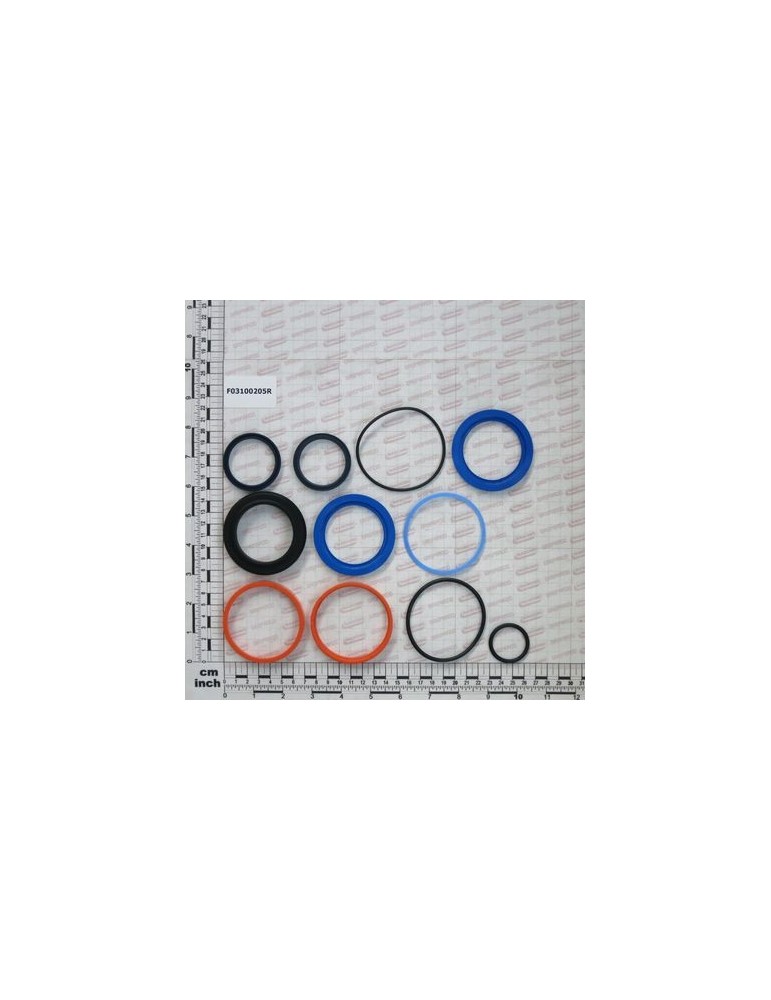 CYL.GASKET KIT R17014200
