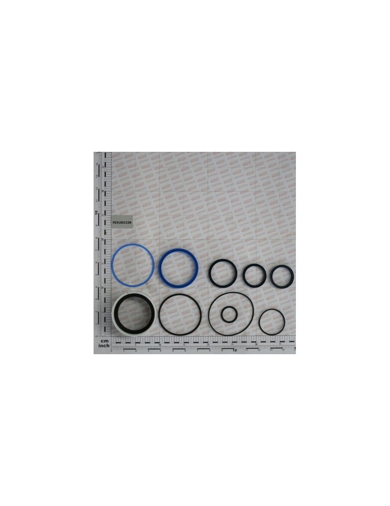 KIT O-RING  CYLINDER 14217511