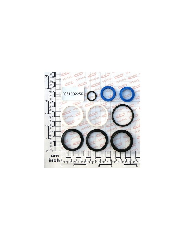 KIT O-RING  CYLINDER 16072360