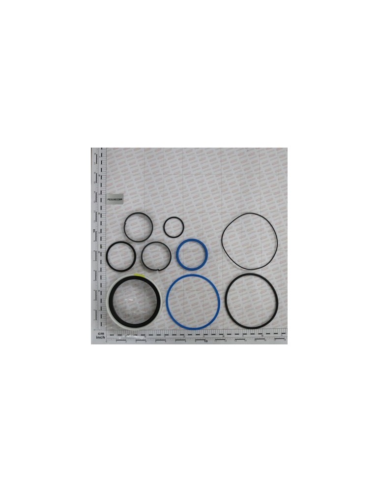 KIT O-RING  CYLINDER 16115670