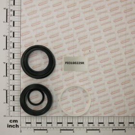 KIT O-RING  CYLINDER R17814560