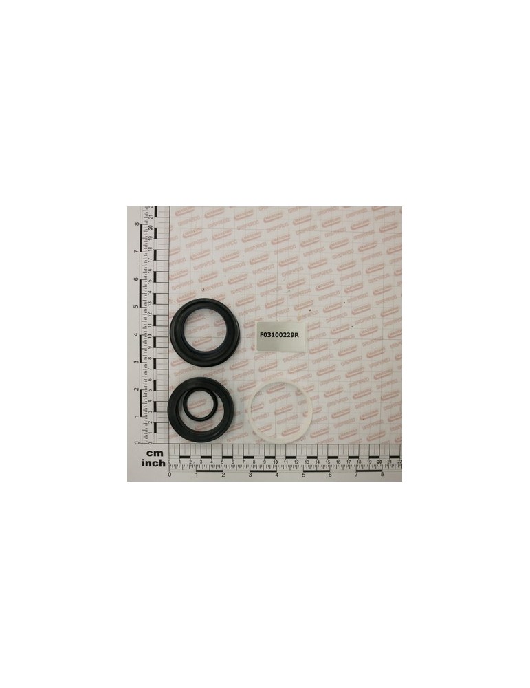 KIT O-RING  CYLINDER R17814560