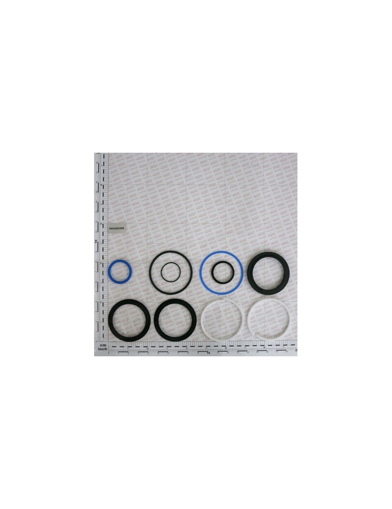 KIT O-RING  CYLINDER R17210803