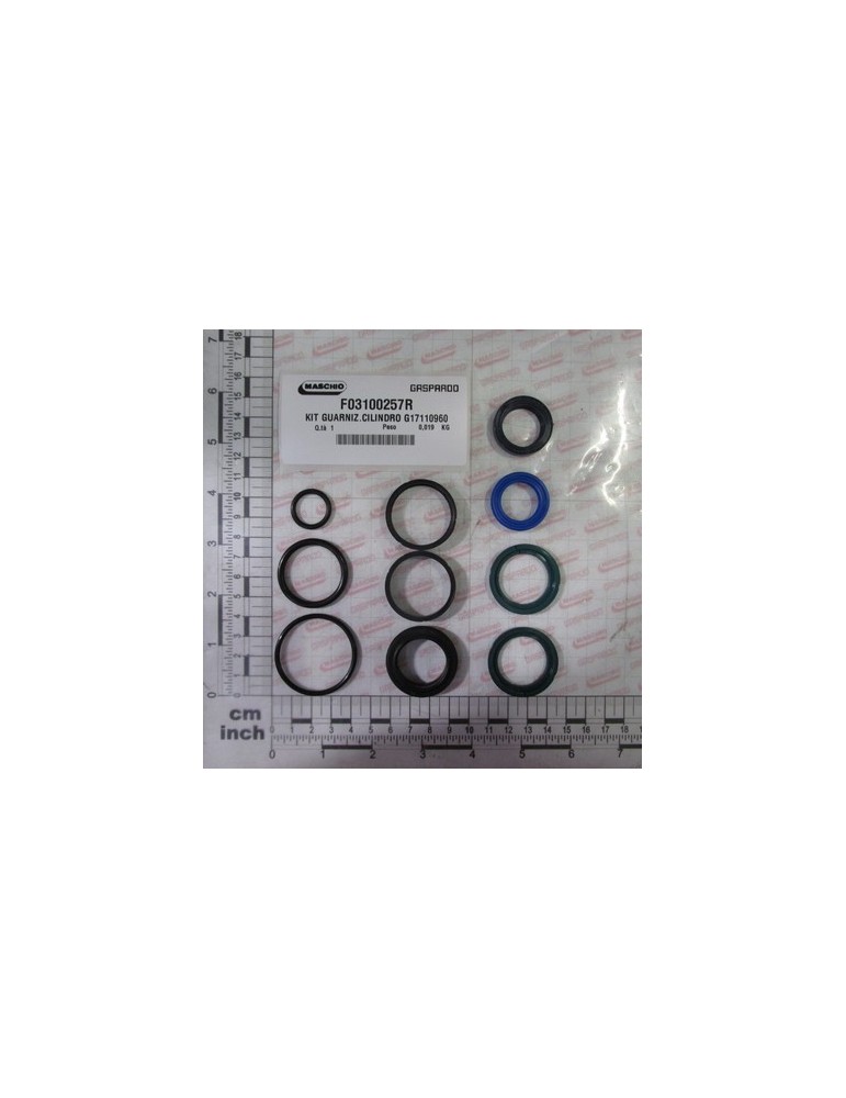 KIT O-RING  CYLINDER G17110960