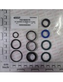 KIT O-RING  CYLINDER G17110960