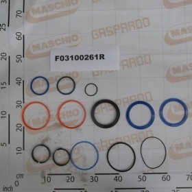 KIT O-RINGS CYL.16115670 D-140